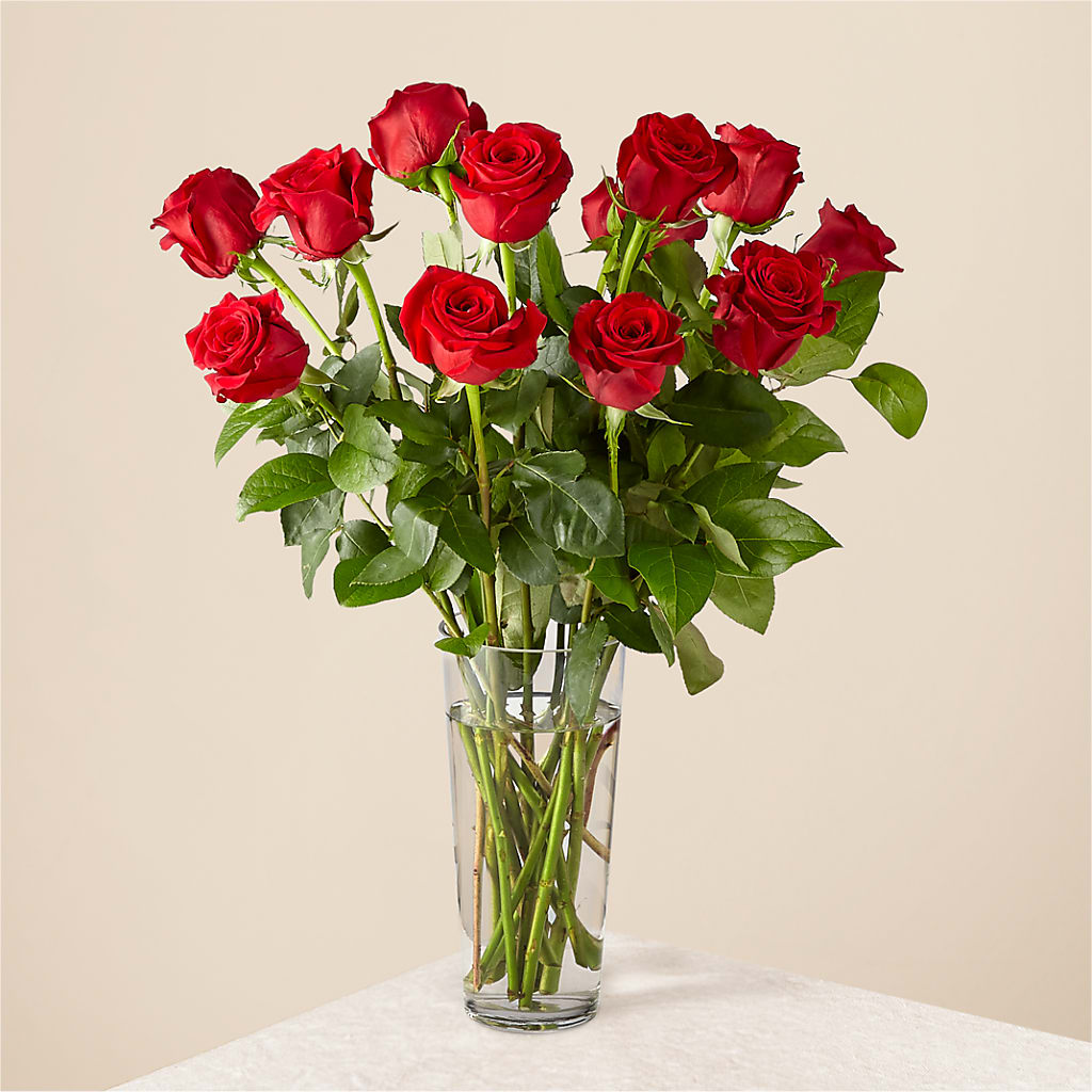 Long Stem Red Rose Bouquet – Vanessa Florist Corp, Brooklyn NY