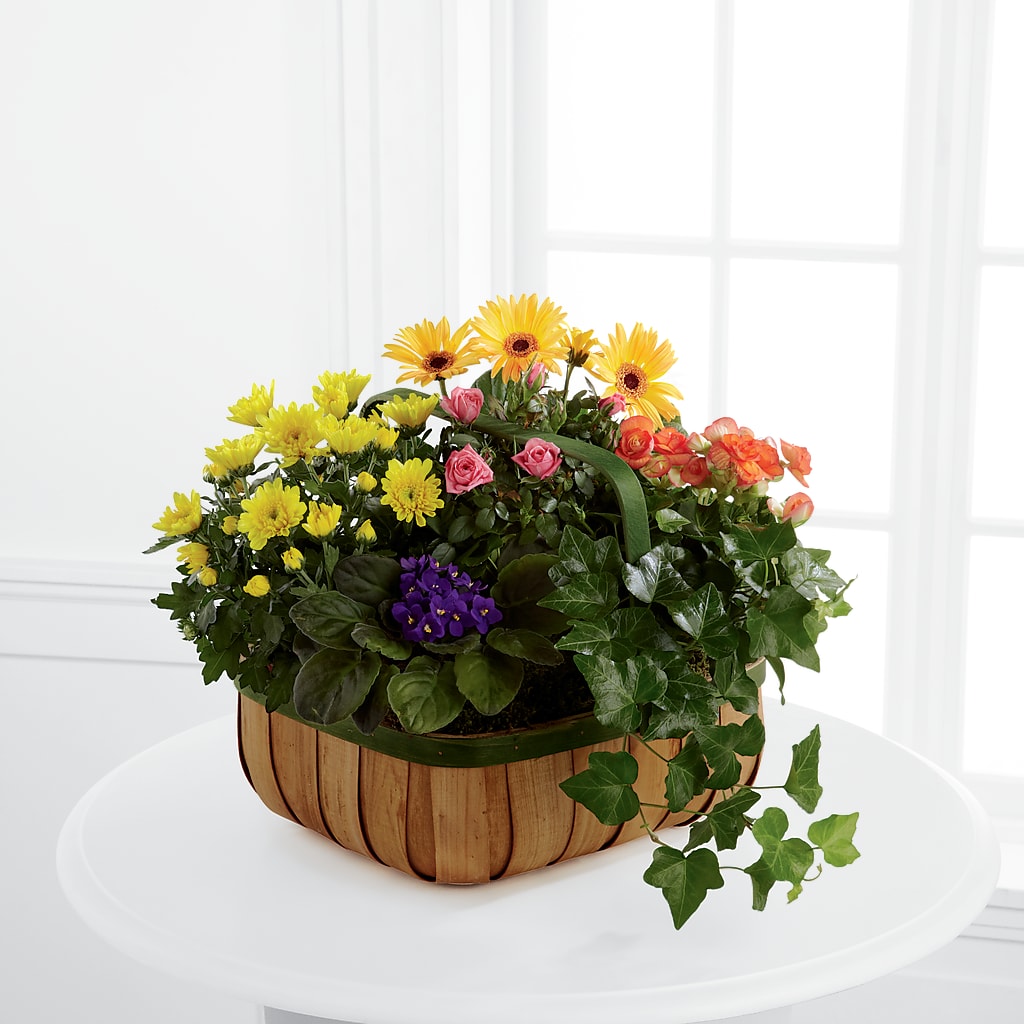 Gentle Blossoms Basket – Vanessa Florist Corp, Brooklyn NY