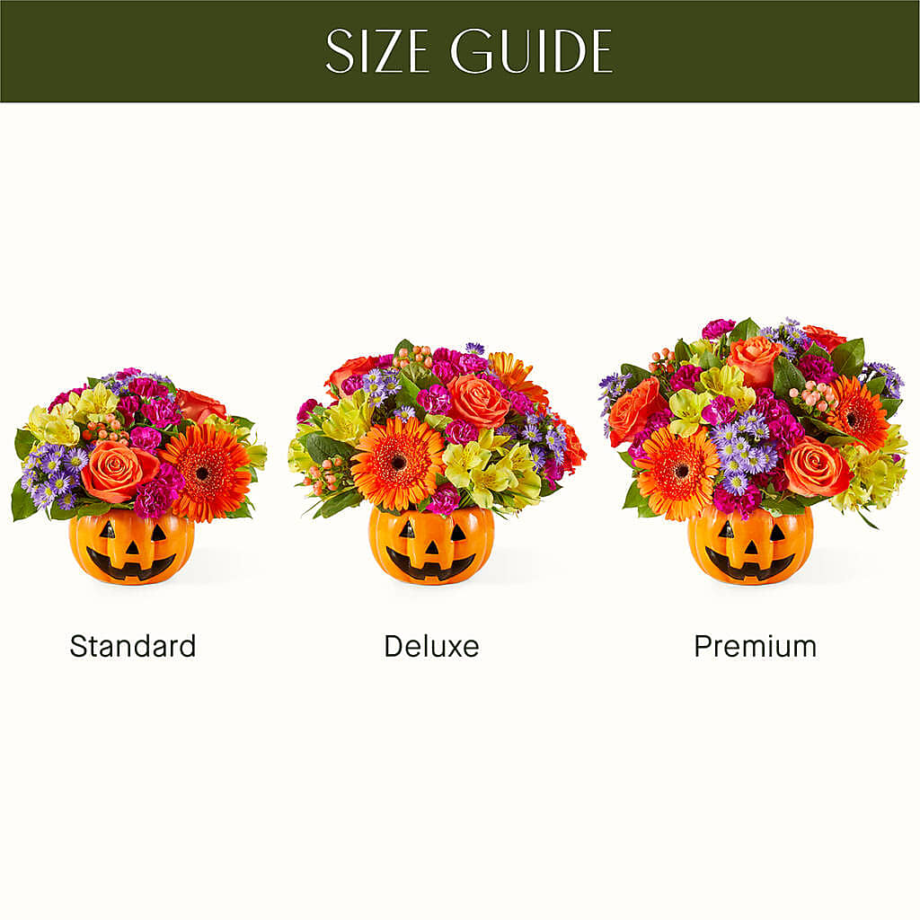 Tricks & Treats Pumpkin – Vanessa Florist Corp, Brooklyn NY