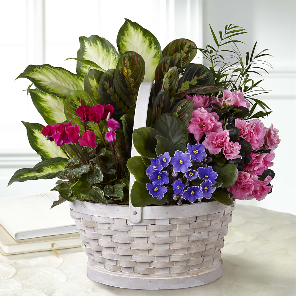 Peaceful Garden Planter – Vanessa Florist Corp, Brooklyn NY