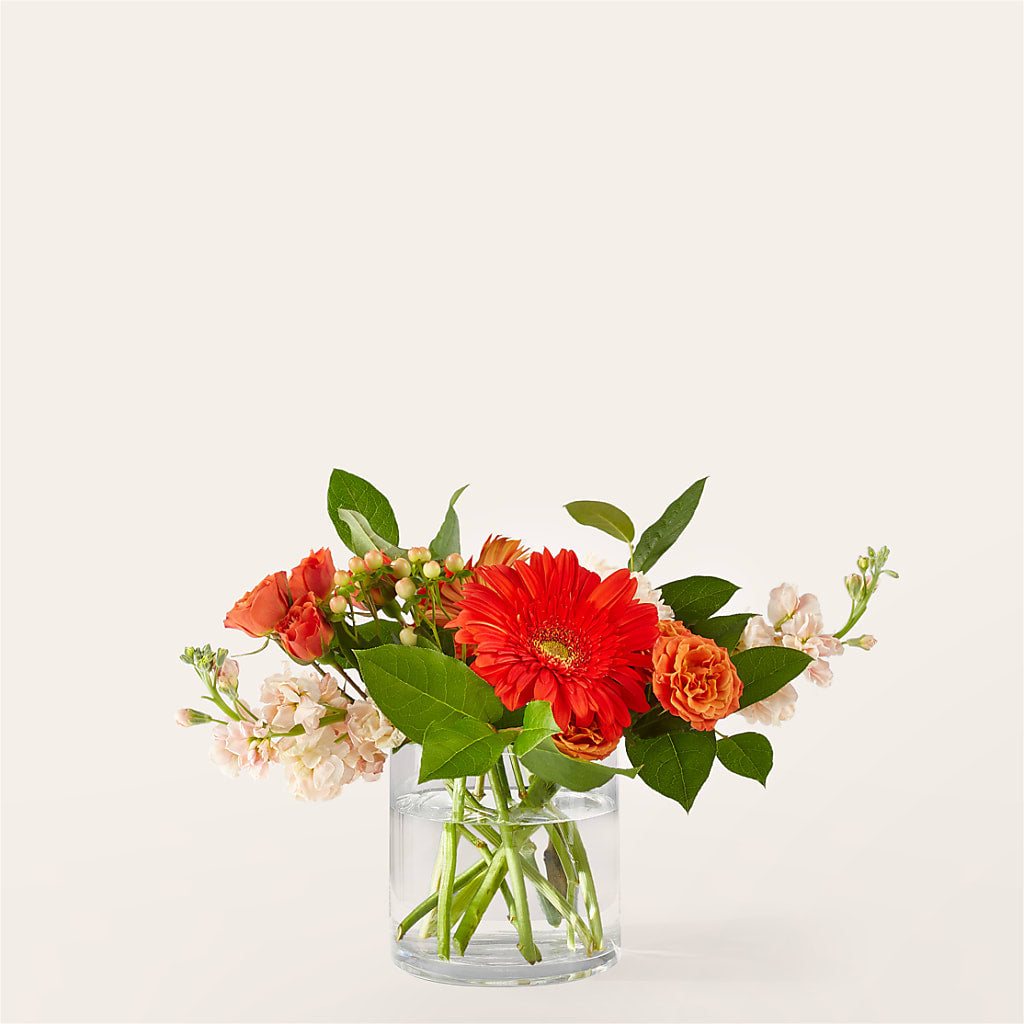 Paloma Please Bouquet – Vanessa Florist Corp, Brooklyn NY