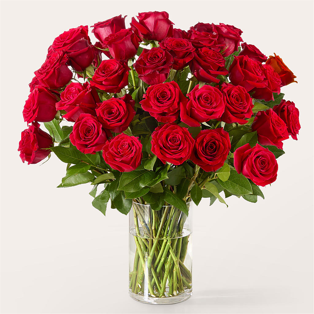 The One Red Rose Bouquet – Vanessa Florist Corp, Brooklyn NY