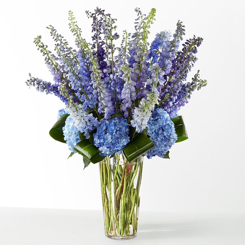 The Editorial – Vanessa Florist Corp, Brooklyn NY