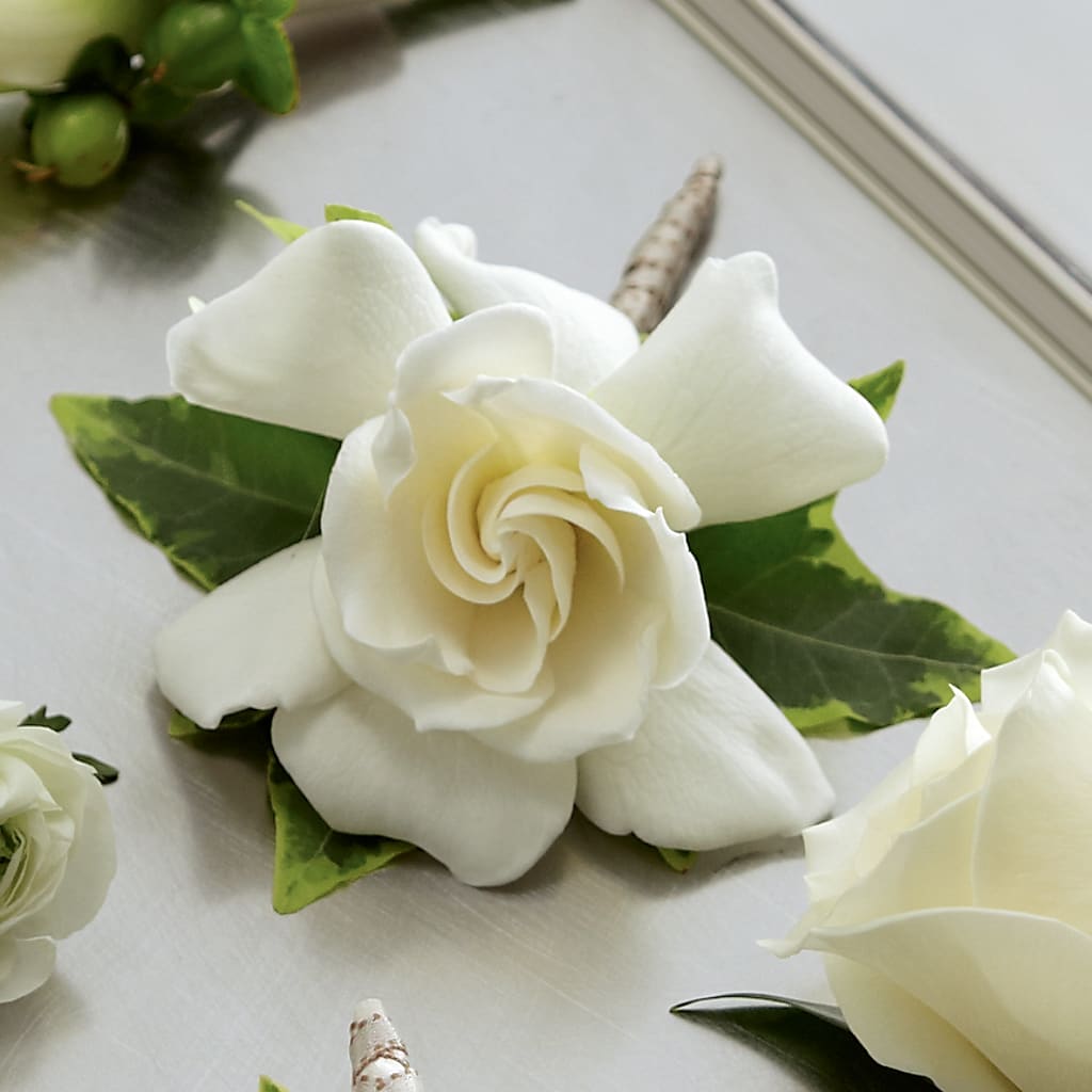 Gardenia Boutonniere – Vanessa Florist Corp, Brooklyn NY