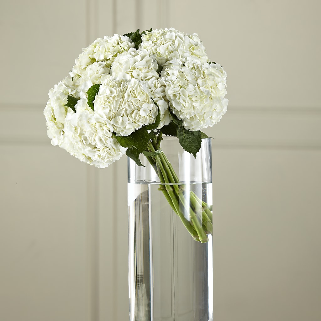 White Hydrangea Hand-Tied Bouquet – Vanessa Florist Corp, Brooklyn NY