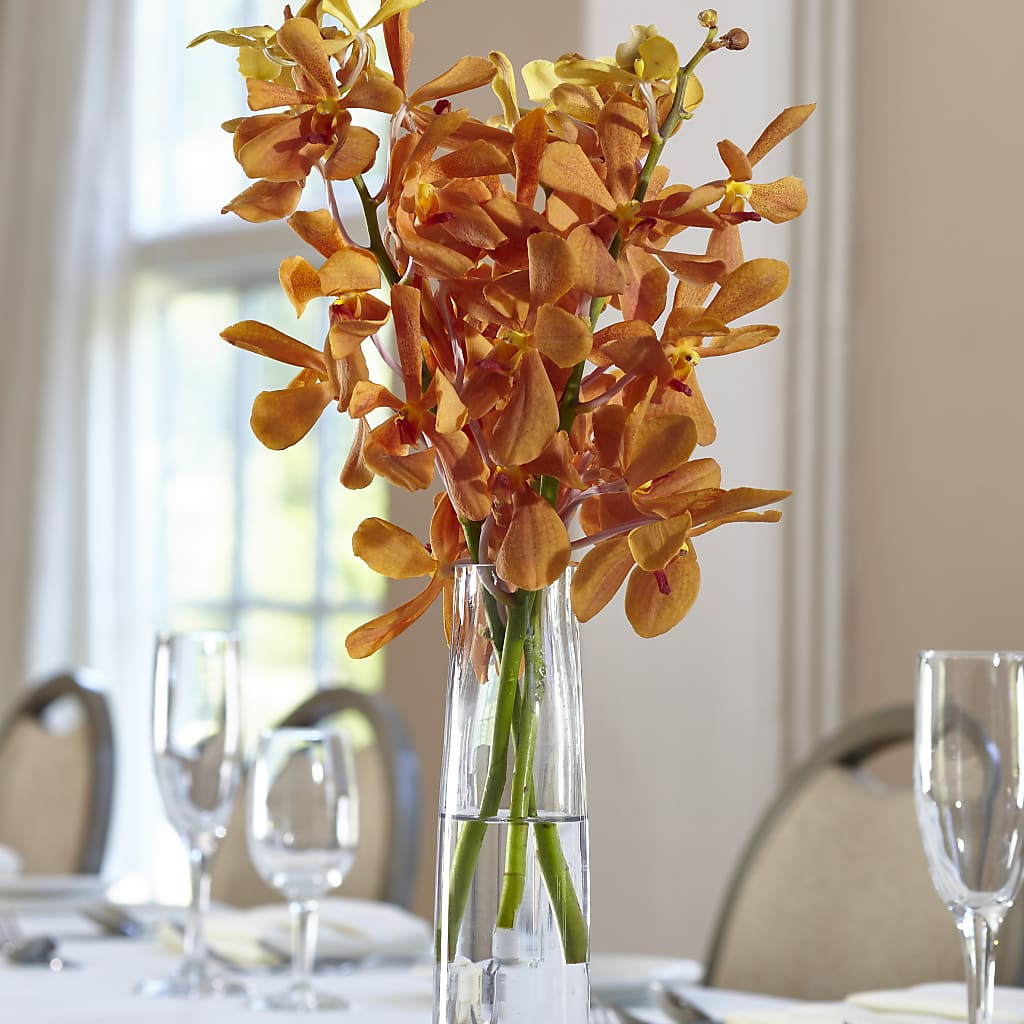 Orange Mokara Bud Vase – Vanessa Florist Corp, Brooklyn NY