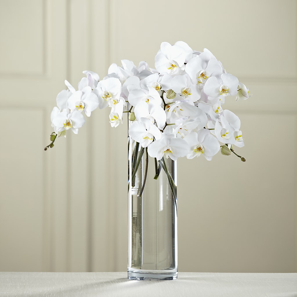 White Phalaenopsis Bouquet – Vanessa Florist Corp, Brooklyn NY