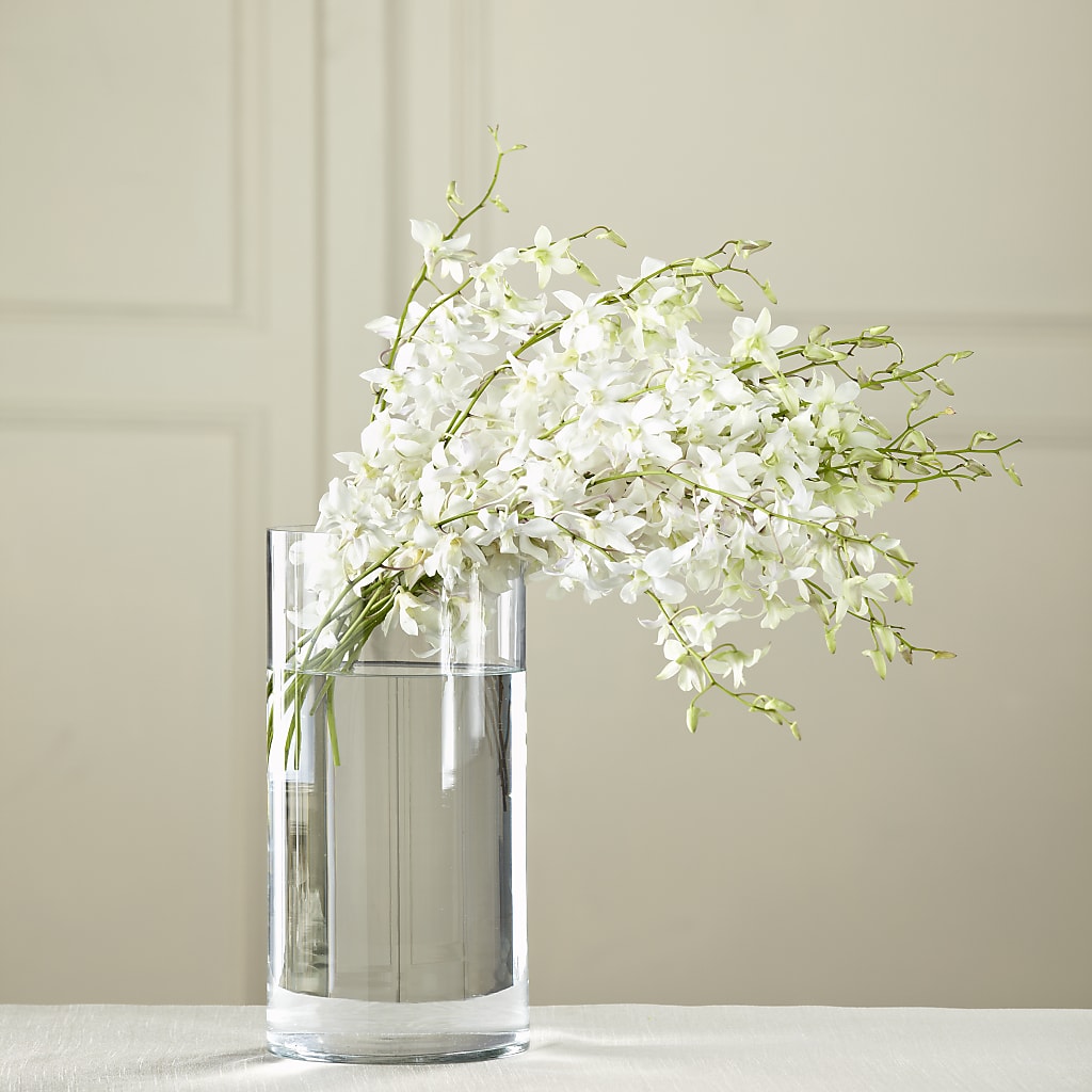 White Dendrobium Bouquet – Vanessa Florist Corp, Brooklyn NY