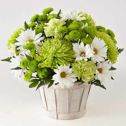 Lucky Charm Basket (Standard) –  Vanessa Florist Corp, Brooklyn NY