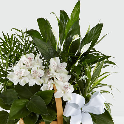 Peace & Serenity Dishgarden –  Vanessa Florist Corp, Brooklyn NY