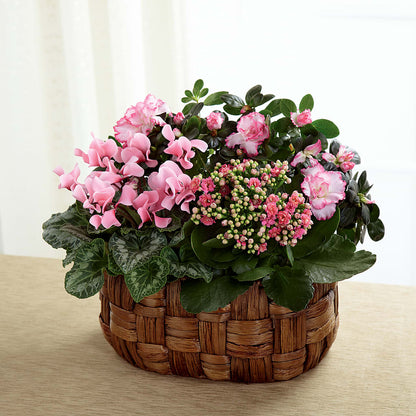 Pink Assortment –  Vanessa Florist Corp, Brooklyn NY