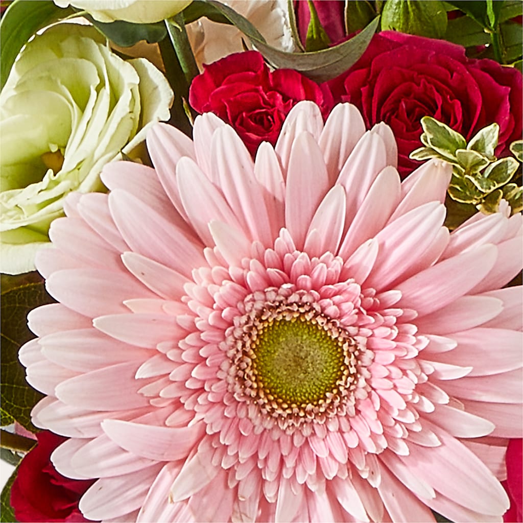 Too Cute Bouquet –  Vanessa Florist Corp, Brooklyn NY