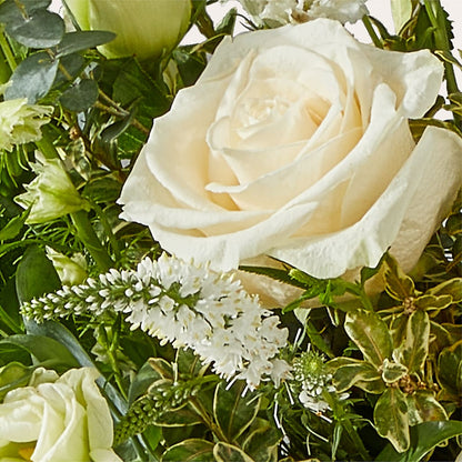 Cashmere Bouquet –  Vanessa Florist Corp, Brooklyn NY