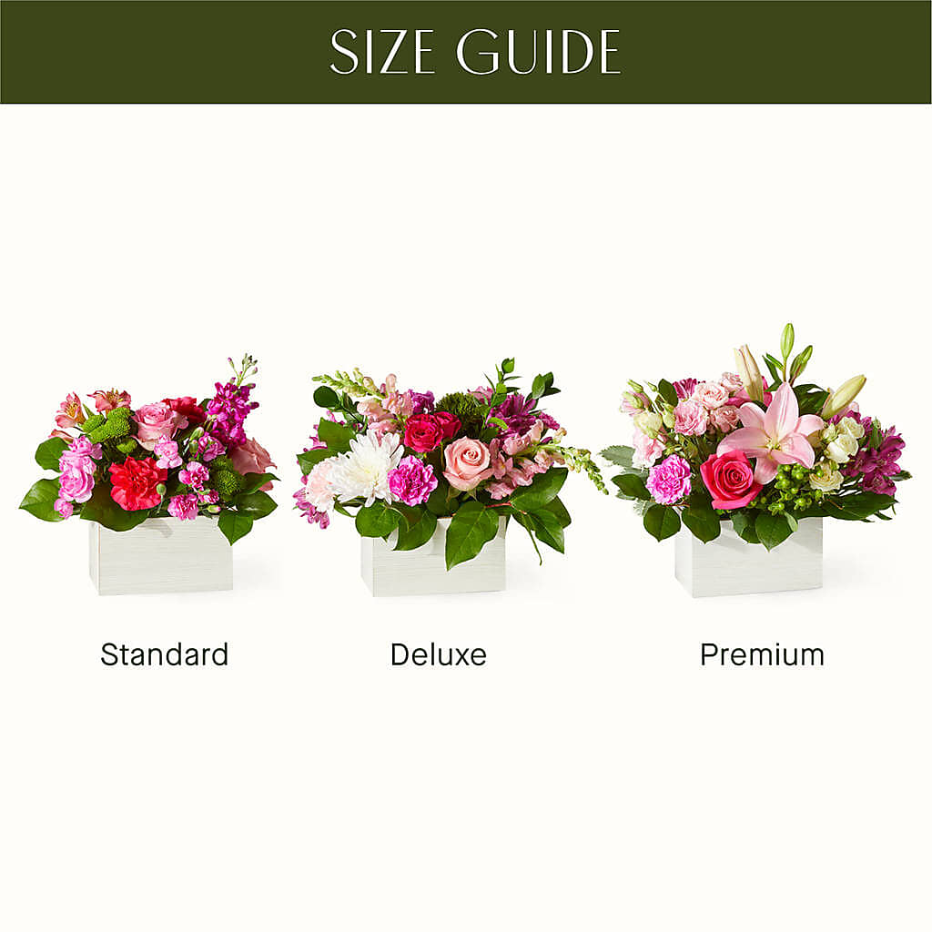 Sweetberry Box – A Florist Original –  Vanessa Florist Corp, Brooklyn NY