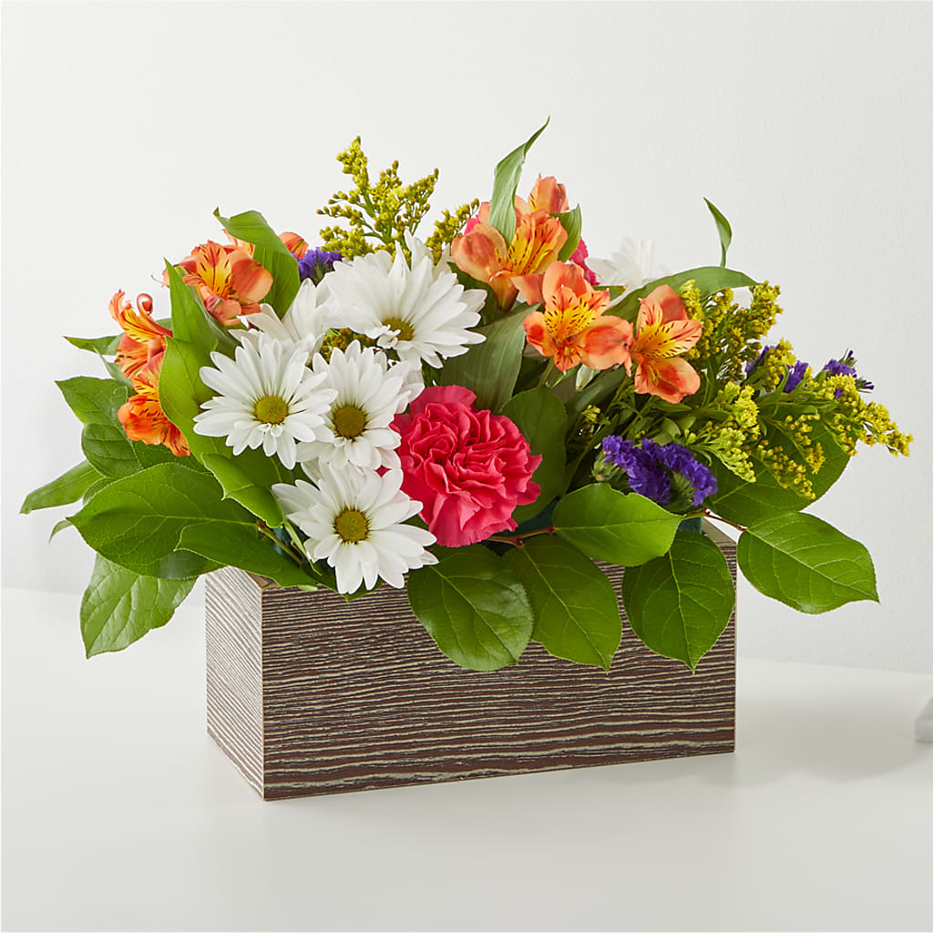 Oopsie Daisy Box Bouquet –  Vanessa Florist Corp, Brooklyn NY