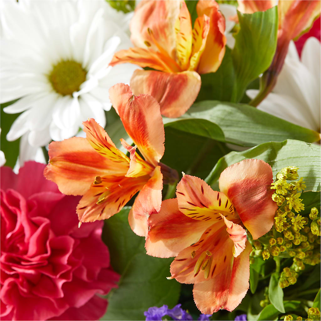 Oopsie Daisy Box Bouquet –  Vanessa Florist Corp, Brooklyn NY