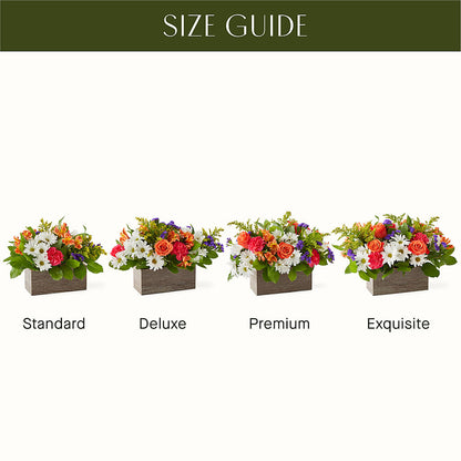 Oopsie Daisy Box Bouquet –  Vanessa Florist Corp, Brooklyn NY
