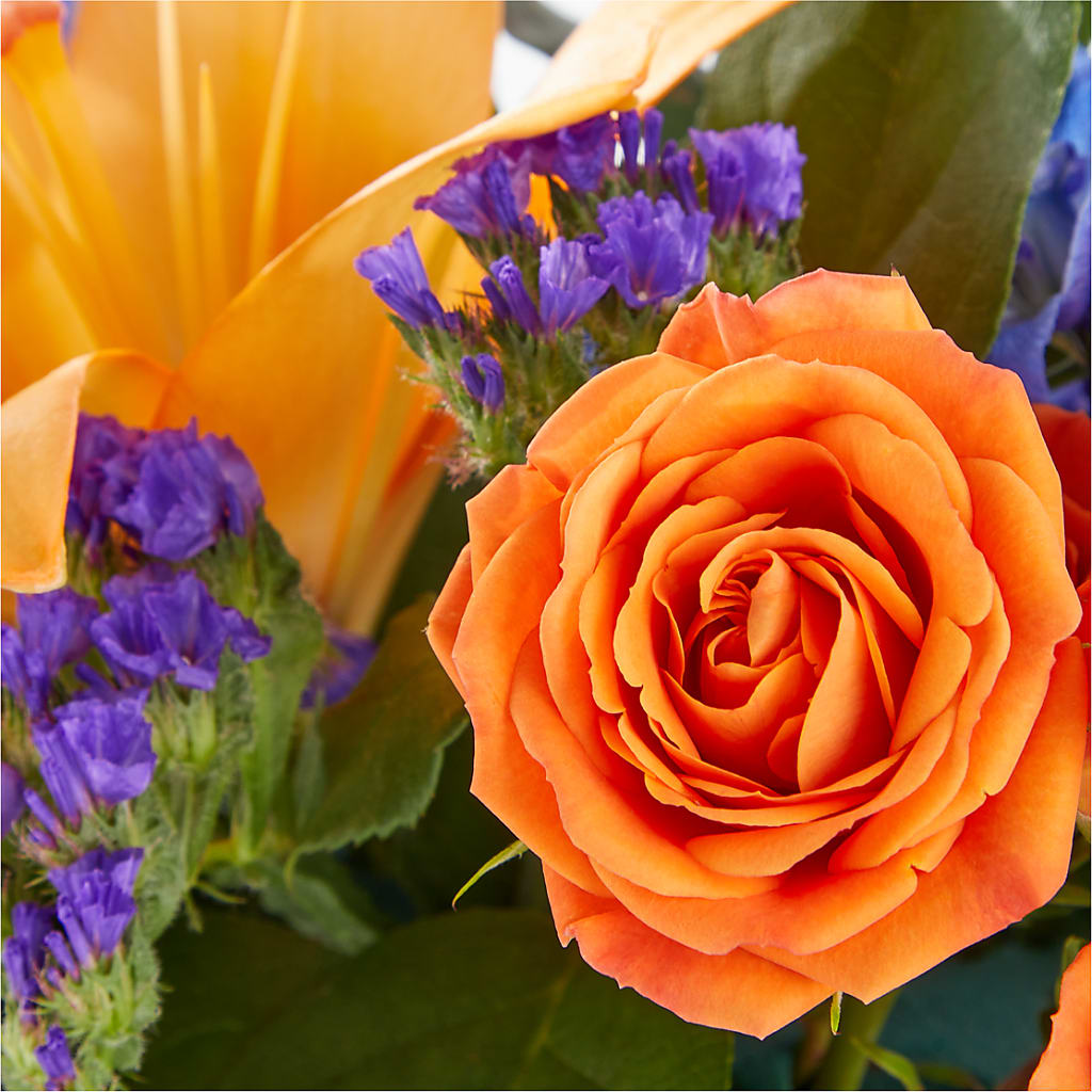 Radiant Citrus Box Bouquet –  Vanessa Florist Corp, Brooklyn NY