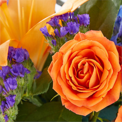 Radiant Citrus Box Bouquet –  Vanessa Florist Corp, Brooklyn NY