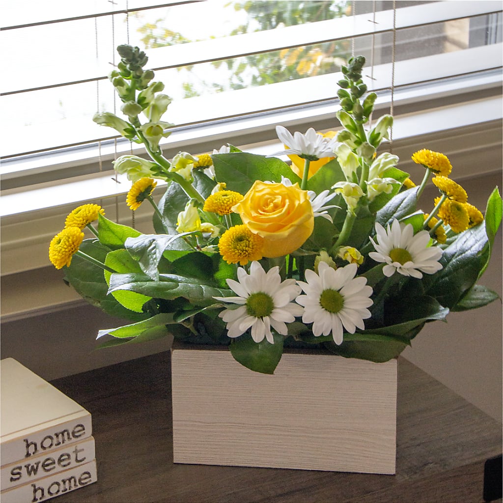 Sun Salutation Box Bouquet –  Vanessa Florist Corp, Brooklyn NY