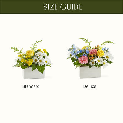 Sun Salutation Box Bouquet –  Vanessa Florist Corp, Brooklyn NY