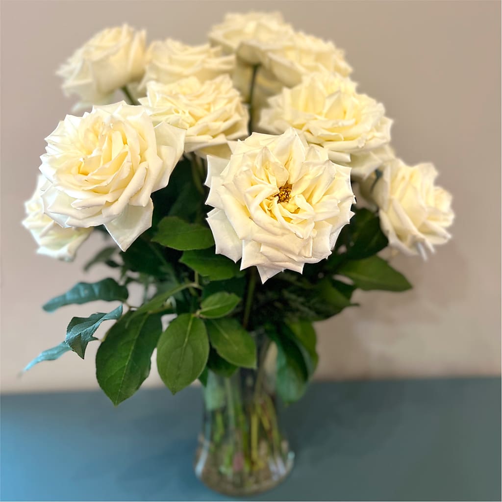 Long Stem Yellow Rose Bouquet –  Vanessa Florist Corp, Brooklyn NY