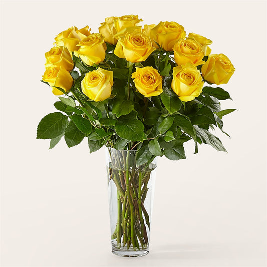 Long Stem Yellow Rose Bouquet –  Vanessa Florist Corp, Brooklyn NY