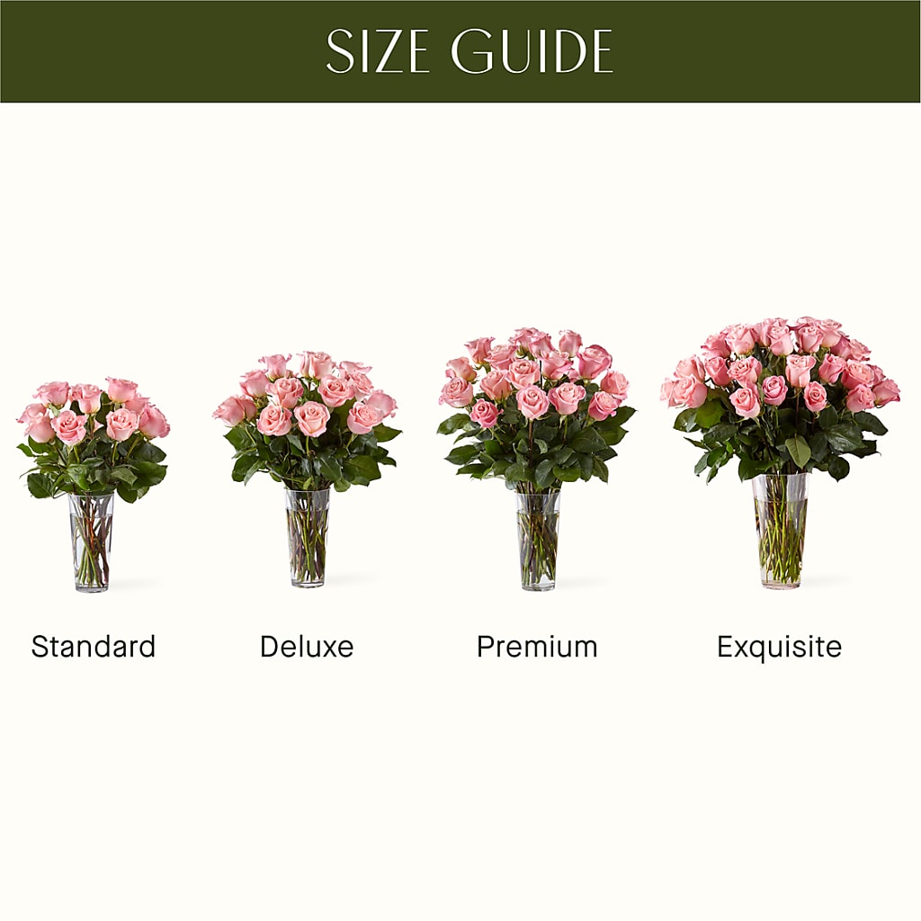 Long Stem Pink Rose Bouquet –  Vanessa Florist Corp, Brooklyn NY