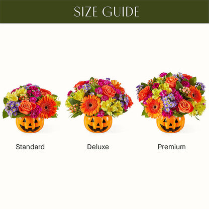 Tricks & Treats Pumpkin –  Vanessa Florist Corp, Brooklyn NY