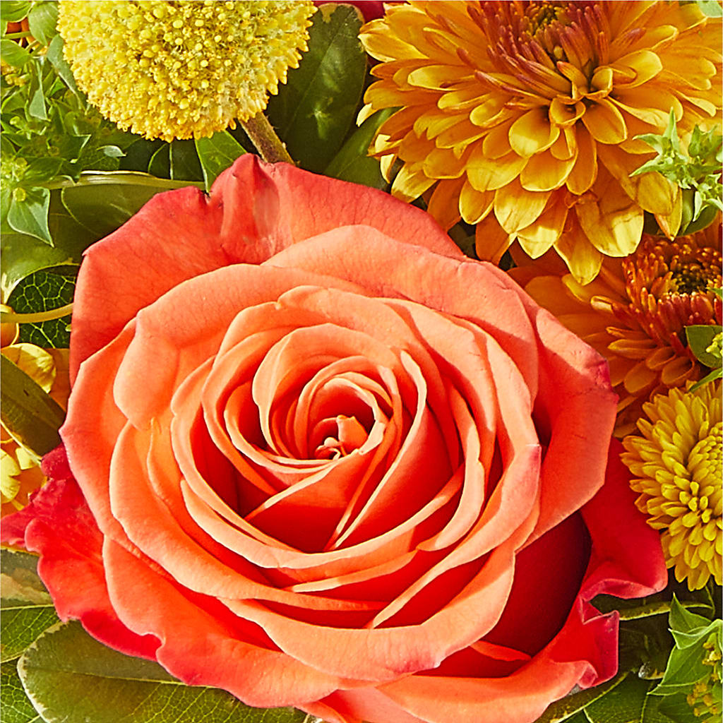 Gourdgeous Pumpkin –  Vanessa Florist Corp, Brooklyn NY