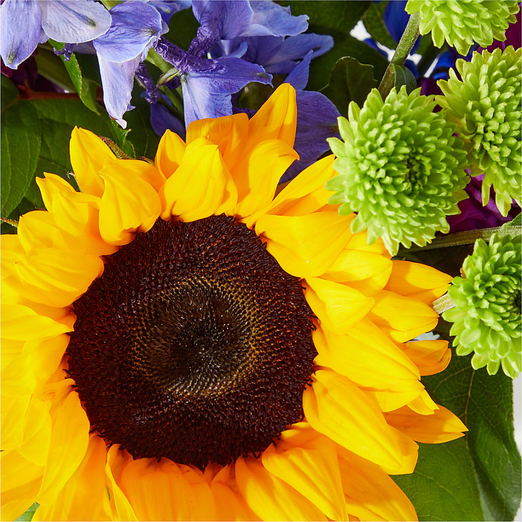 Catching Rays Bouquet –  Vanessa Florist Corp, Brooklyn NY