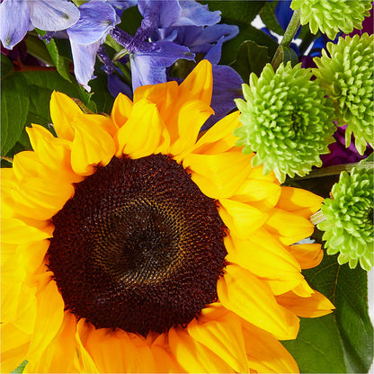 Catching Rays Bouquet –  Vanessa Florist Corp, Brooklyn NY