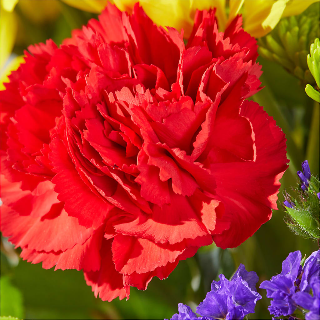 Brighter Days Bouquet –  Vanessa Florist Corp, Brooklyn NY