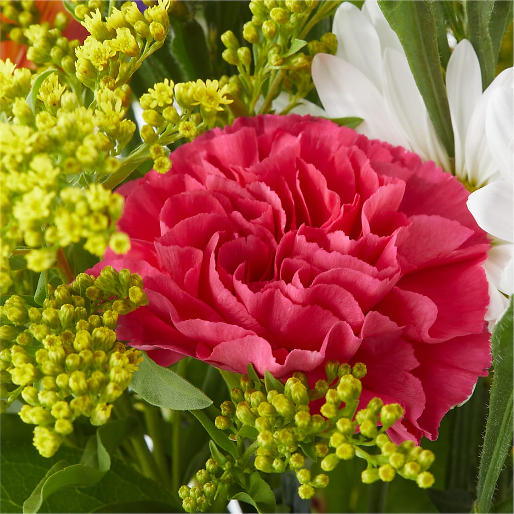 Oopsie Daisy Bouquet –  Vanessa Florist Corp, Brooklyn NY