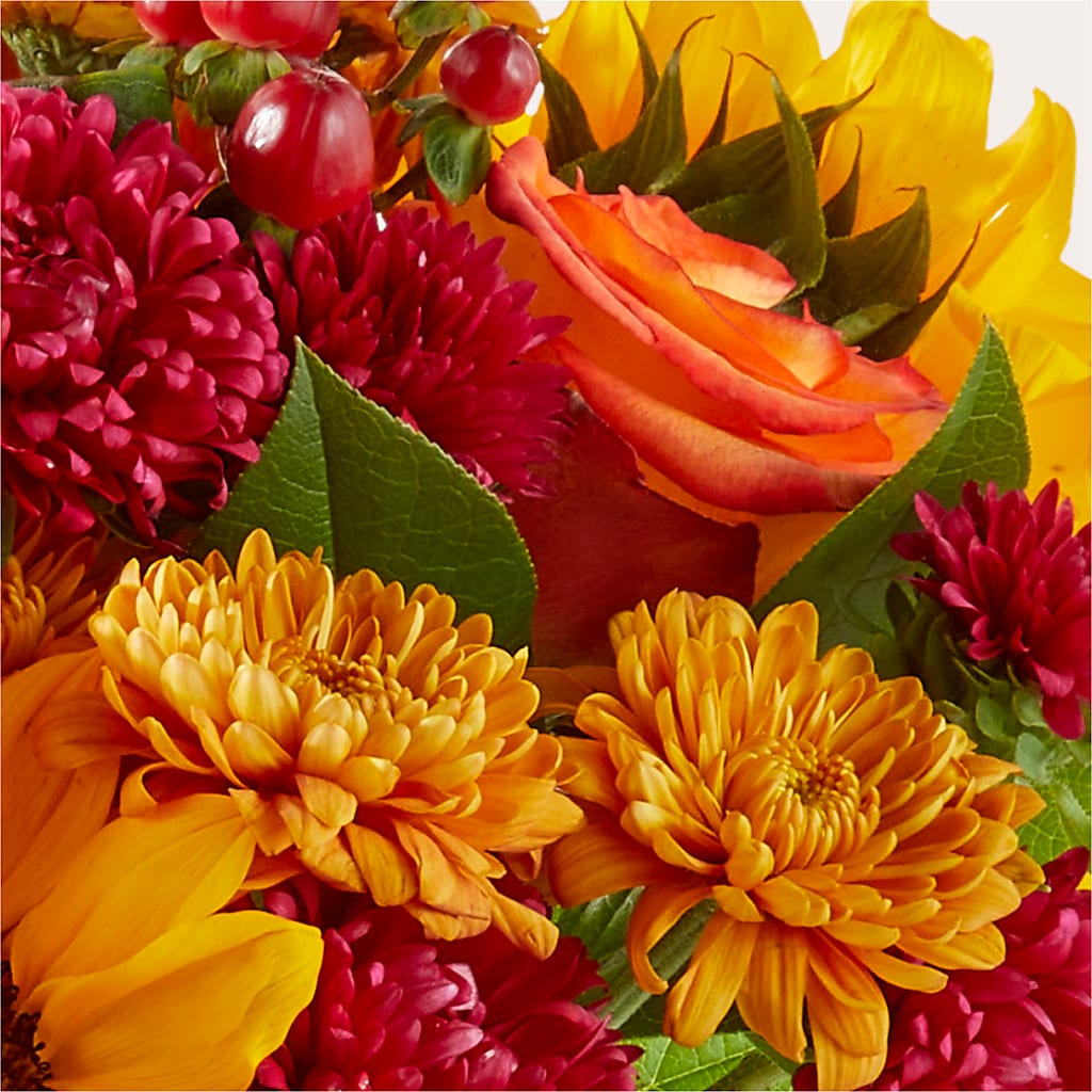 Sweater Season - A Florist Original –  Vanessa Florist Corp, Brooklyn NY