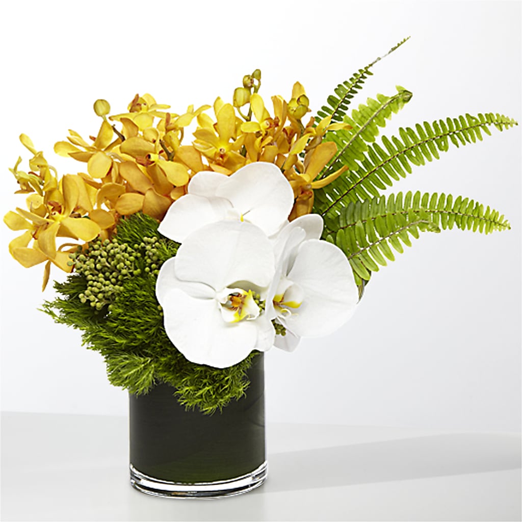 The Tropics –  Vanessa Florist Corp, Brooklyn NY