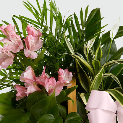 Living Spirit Dishgarden –  Vanessa Florist Corp, Brooklyn NY