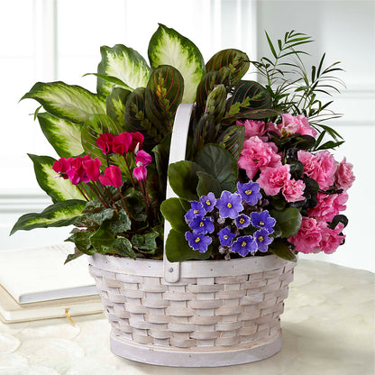 Peaceful Garden Planter –  Vanessa Florist Corp, Brooklyn NY