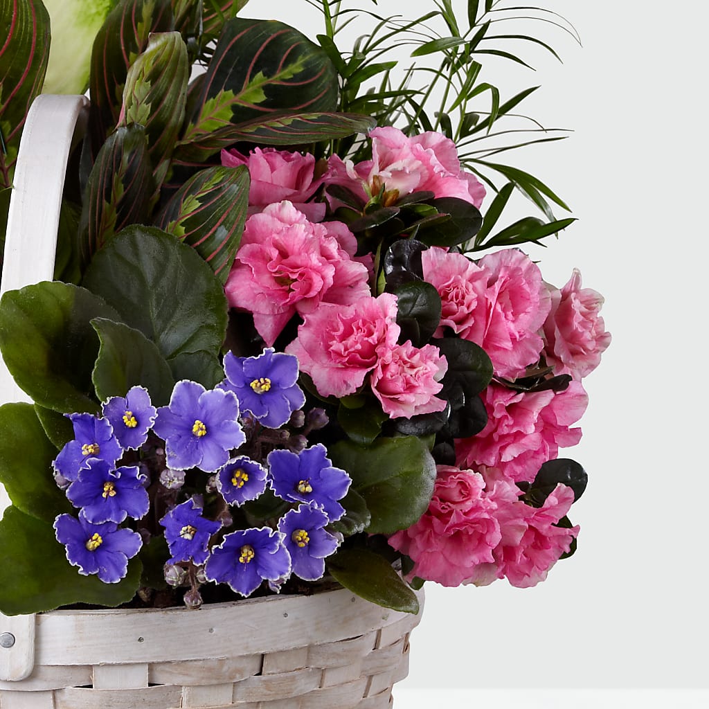 Peaceful Garden Planter –  Vanessa Florist Corp, Brooklyn NY