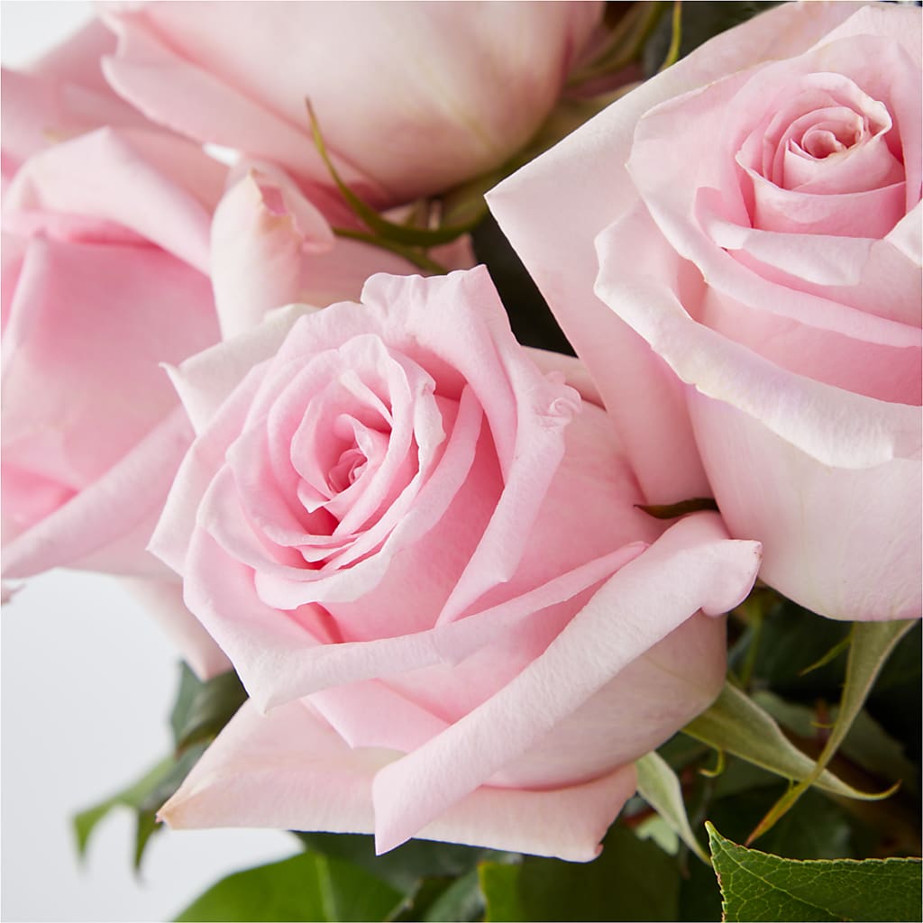 Picture Perfect Pink Rose Bouquet –  Vanessa Florist Corp, Brooklyn NY