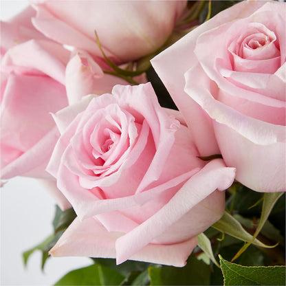 Picture Perfect Pink Rose Bouquet –  Vanessa Florist Corp, Brooklyn NY