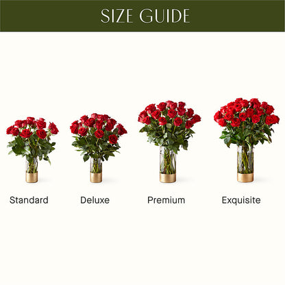 Classic Love Red Rose Bouquet –  Vanessa Florist Corp, Brooklyn NY