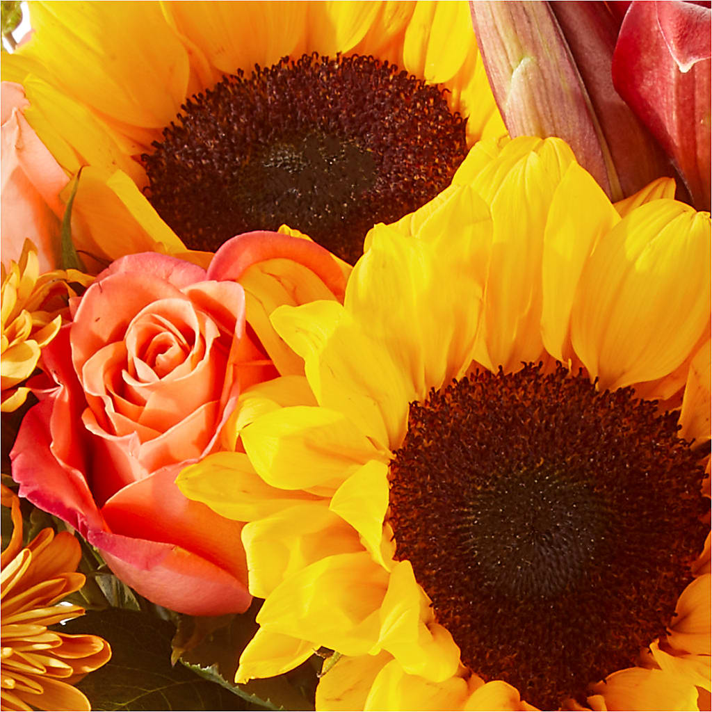 Acorn Lane Bouquet –  Vanessa Florist Corp, Brooklyn NY