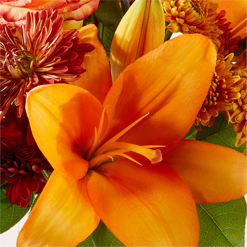 Autumnal Aroma Bouquet –  Vanessa Florist Corp, Brooklyn NY