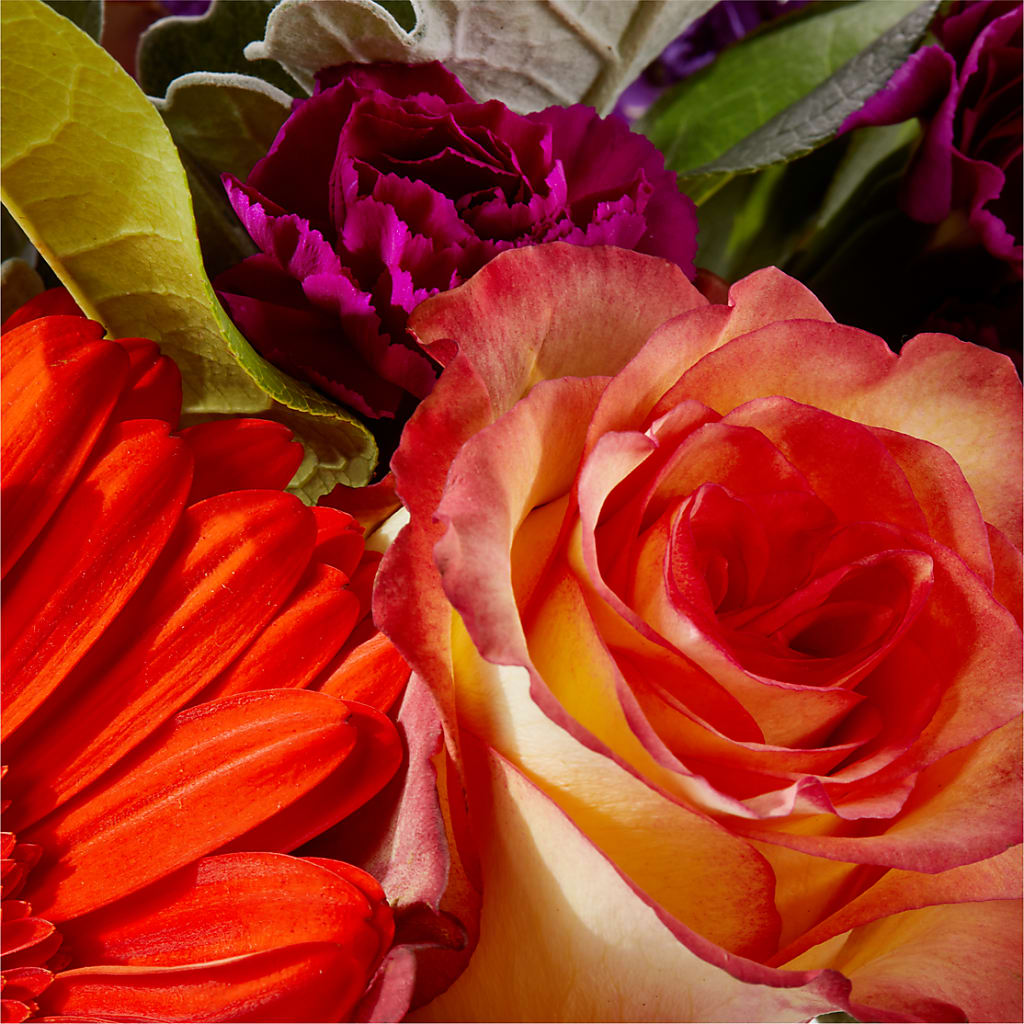 Sangria Bouquet –  Vanessa Florist Corp, Brooklyn NY