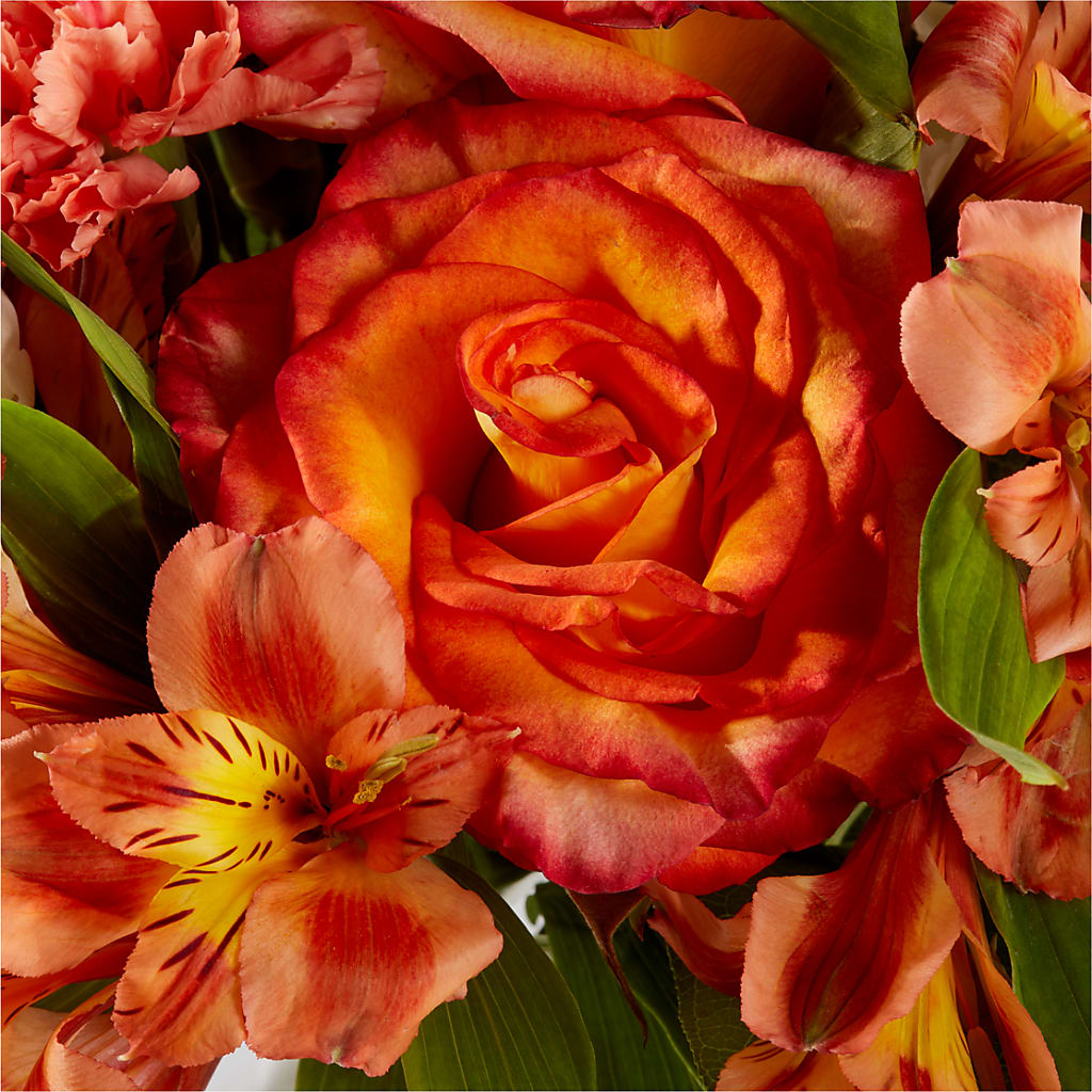 Apricot Glow Bouquet –  Vanessa Florist Corp, Brooklyn NY