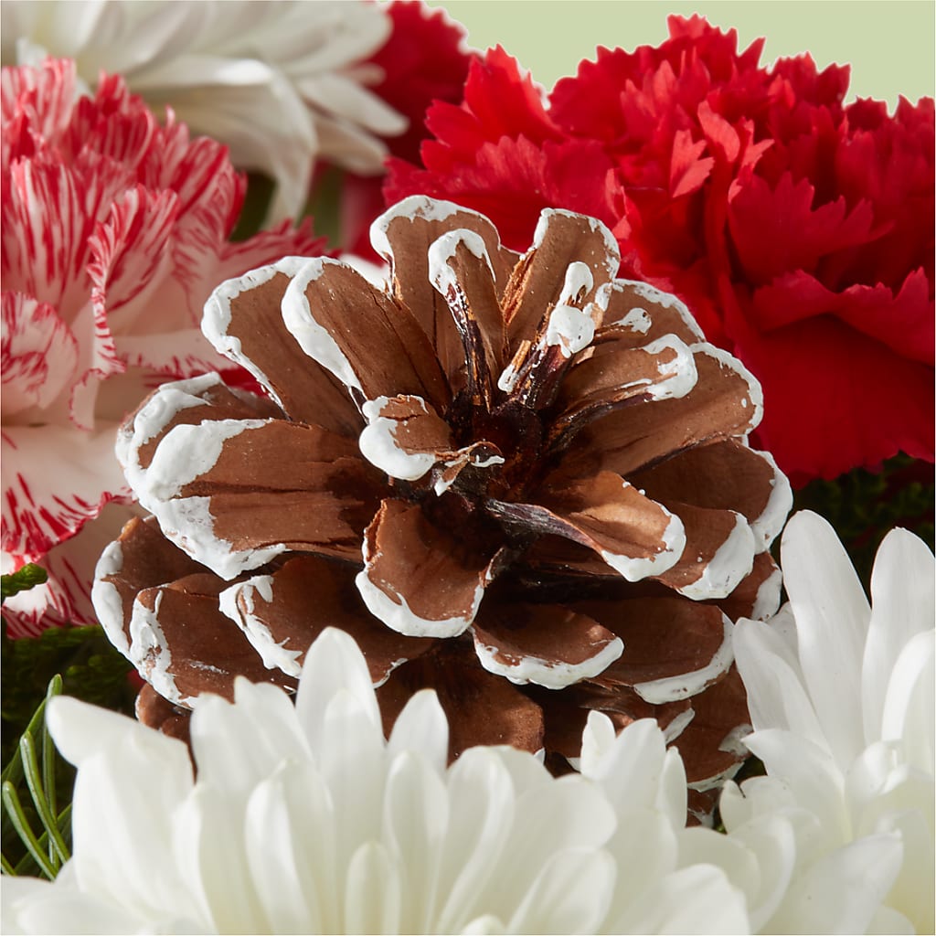 Candy Cane Lane Bouquet –  Vanessa Florist Corp, Brooklyn NY