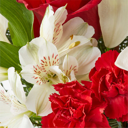 Holiday Season Bouquet –  Vanessa Florist Corp, Brooklyn NY