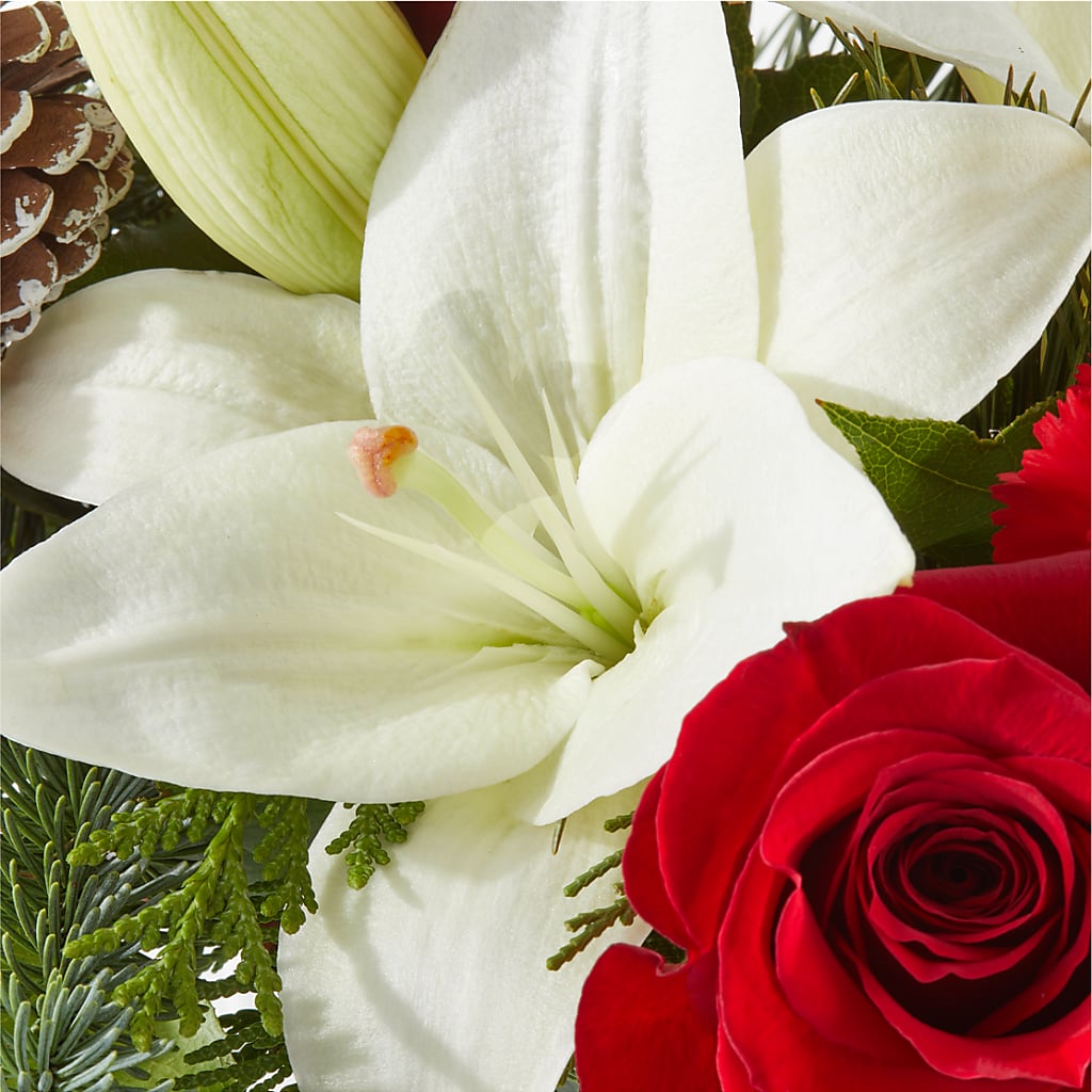 Oh So Jolly Bouquet –  Vanessa Florist Corp, Brooklyn NY