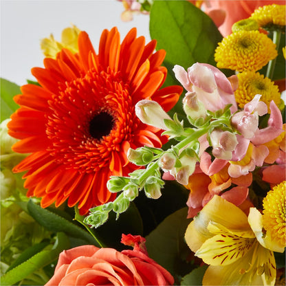 Autumn Sunshine Bouquet –  Vanessa Florist Corp, Brooklyn NY